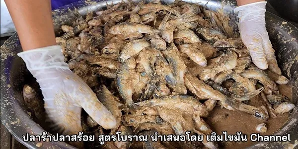 สูตรการทำ ปลาร้าปลาสร้อย สูตรโบราณ นำเสนอโดย เติมไขมัน Channel