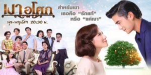 ละคร เงาอโศก 2559 (EP.1-14 ตอนจบ) HD END