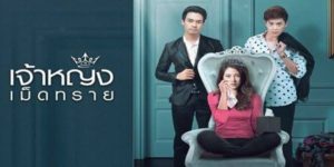 ละคร เจ้าหญิงเม็ดทราย The Sand Princess 2562 (EP.1-14 ตอนจบ) END วันหนึ่ง กชนิภามีเหตุจำเป็นต้องไปเชียงใหม่จึงต้องพาลูกไปด้วย และการไปเชียงใหม่ครั้งนี้เธอได้พบและรู้จักกับคิรากรเป็นครั้งแรก โดยที่ไม่รู้ว่าคิรากรเป็นพี่ชายของจิรพัส และดูเหมือนว่า คิรากร ก็กำลังตกหลุมรักกับ กชนิภา เรื่องราววุ่นวายของ กชนิภา จิรพัส และ คิรากร จะเป็นอย่างไร ?