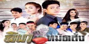 ละคร ลิเกหมัดสั่ง 2558 (EP.1-30 ตอนจบ) END ระหว่างที่เพชรและพริมฝึกมวยด้วยกัน พวกเขาก็เริ่มมีความรู้สึกดีๆ ต่อกัน แต่ความรักของทั้งคู่ก็ต้องเจอกับอุปสรรคมากมาย ทั้งจากความขัดแย้งของครอบครัว และความเข้าใจผิดในอดีต