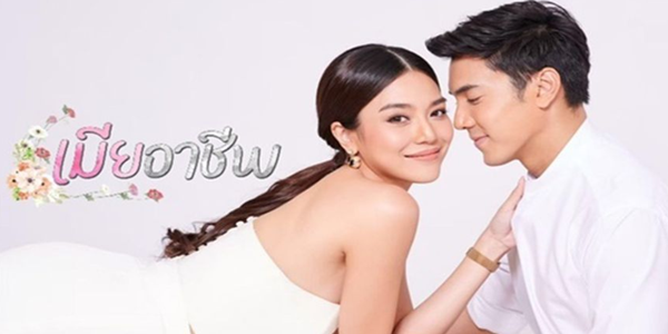 เมียอาชีพ