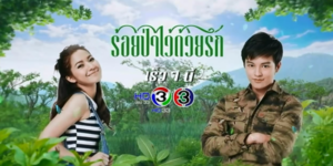 ละคร ร้อยป่าไว้ด้วยรัก 2559 “พรนับพัน” หญิงสาวที่หนีปัญหาครอบครัวมาพบ “พันตรีแสนคม” นายทหารผู้พิทักษ์ป่าในโครงการพระราชดำริ ทั้งคู่เริ่มจากความขัดแย้ง แต่ค่อยๆ พัฒนาความรักท่ามกลางการเรียนรู้คุณค่าของธรรมชาติและชุมชน ละครสะท้อนการอนุรักษ์ป่า ปัญหาการบุกรุกทรัพยากร และการเติบโตของตัวละครผ่านความเข้าใจและการให้อภัย