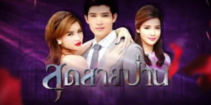 ละคร สุดสายป่าน 2556 (EP.1-11 ตอนจบ) HD END เมื่อกานดามณีเข้ามาสวมรอยเป็นกานดาวสีจริง ๆ ฐิติกลับรู้สึกแปลก ๆ เขาเพิ่งรู้ตัวว่าเขาผูกพันกับกานดาวสีตัวจริงเข้าเสียแล้ว