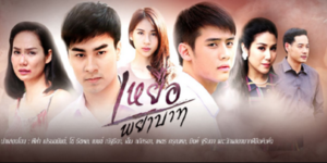 ละคร เหยื่อพยาบาท 2560 “สร้อย” หญิงสาวฐานะต่ำต้อย ถูก “ก้องกิจ” ชายที่เธอรักทิ้งไปแต่งงานกับ จินดา ตามคำสั่งของตระกูล เธอถูกขับไล่และทำร้ายขณะท้อง จึงขโมย ก้องภพ ลูกชายของจินดาไปเลี้ยงพร้อม เดี่ยว ลูกชายแท้ ๆ ของเธอ โดยตั้งใจแก้แค้นตระกูลธำรงเกียรติไพศาล หลายปีต่อมา เมื่อความจริงเปิดเผย ก้องภพและเดี่ยวต้องเผชิญความขัดแย้งและโศกนาฏกรรมจากความแค้นที่ส่งต่อข้ามรุ่น สุดท้ายสร้อยตระหนักว่าความพยาบาททำลายทุกคน รวมถึงตัวเธอเอง ขณะที่ก้องภพเลือกปล่อยวางเพื่อเริ่มต้นใหม่