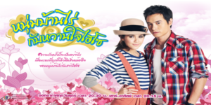 ละคร หนุ่มบ้านไร่กับหวานใจไฮโซ 2555 (EP.1-16 ตอนจบ) HD END