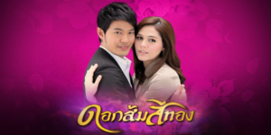 ละคร ดอกส้มสีทอง 2554 (EP.1-16 ตอนจบ) HD END