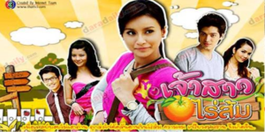 ละคร เจ้าสาวบ้านไร่ 2553 (EP.1-17 ตอนจบ) HD END