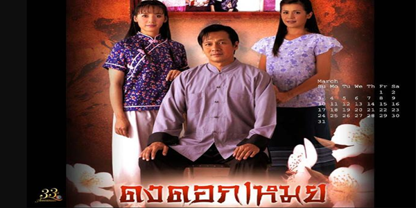 ดงดอกเหมย