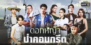 ดอกหญ้าป่าคอนกรีต