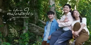 ละคร ต้นไม้น้อยใหญ่ 2566 FULL EP ไหม โดนไล่ออกจากงาน เธอจึงกลับบ้านเกิด ทำให้ได้เรียนรู้ความมั่นคงของชีวิตที่ป่ามอบให้แก่เรา