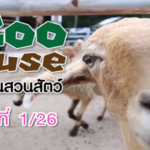 Zoo House บ้านสวนสัตว์