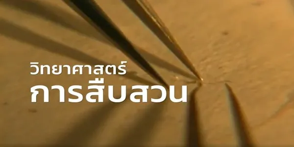 ไขปริศนาการฆาตกรรมหญิงโสเภณีด้วยวิทยาศาสตร์การสืบสวน