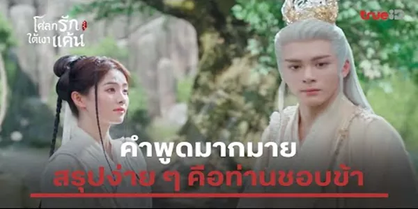 คำพูดมากมาย สรุปง่าย ๆ คือท่านชอบข้า